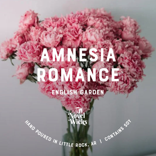 Amnesia Romance