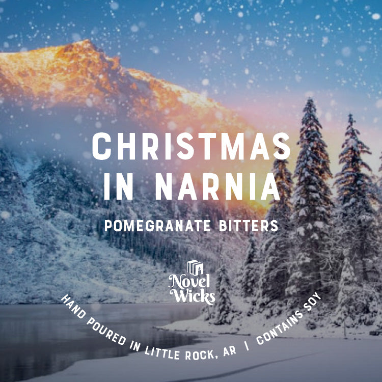 Christmas in Narnia