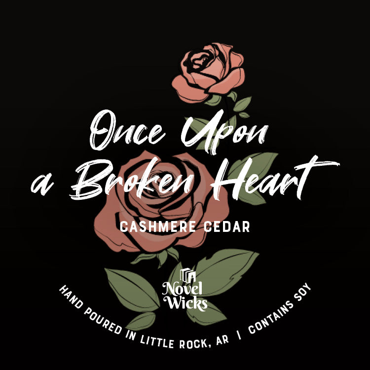 Once Upon a Broken Heart