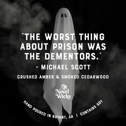 The worst thing about prison was the dementors- Michael Scott